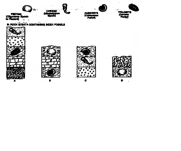 geologic2.gif