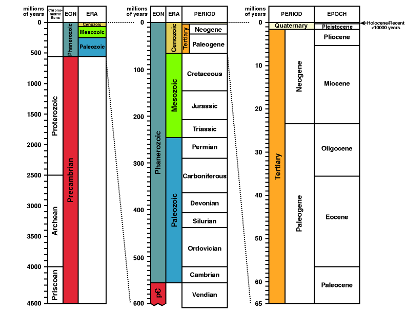 time_scale.gif